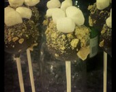 S'mores Cake Pops