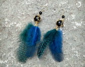 Blue-Green With Envy Feather Earrings