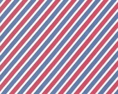 Handle With Care Stripes in Garden by Suzy Ultman for Robert Kaufman Fabrics, Half Yard, 1/2 Yard