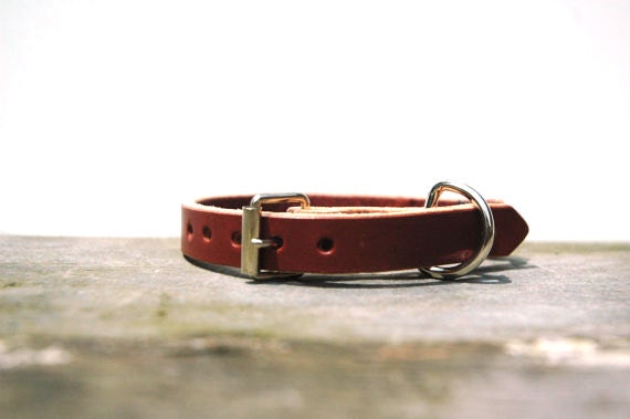Leather Cat Collar in Cognac with Silver
