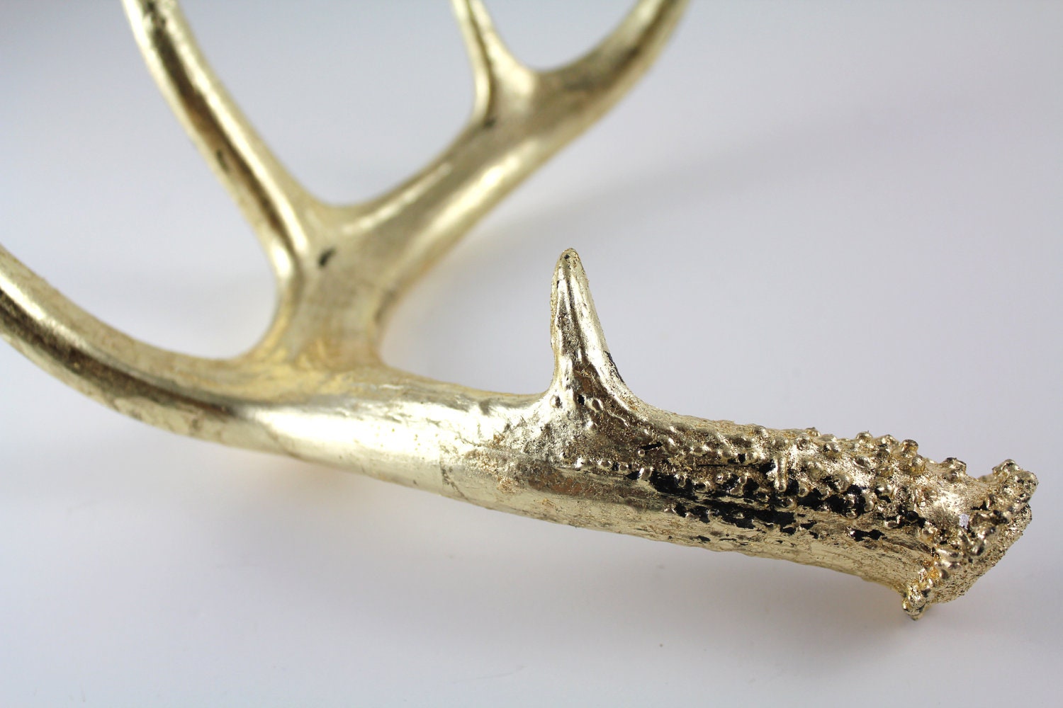 Gold Leaf Deer Antler Art Sculpture High Gloss Black Base