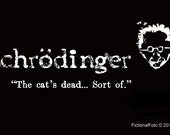 Schrodinger Coffee Mug, 11 oz