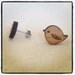 Bird earrings - wooden eco friendly wood bird studs earrings