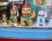 Cats Wave Hello Chinatown Knick knacks Fun 8x10 Photograph