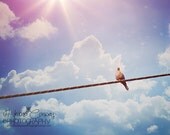 Nursery Art Pastel Purple Blue Sky Pigeon Rainbow Heart Bokeh Fluffy White Clouds Dreamy Soft Twinkle Star burst Fine Art Photography