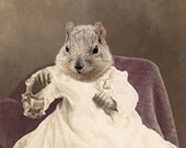 Sammie - Vintage Squirrel 5x7 Print - Anthropomorphic - Altered Photo - Gift Idea - Funny Animal - Photo Collage Art - Whimsical - Fantasy