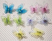 Butterfly Set 1