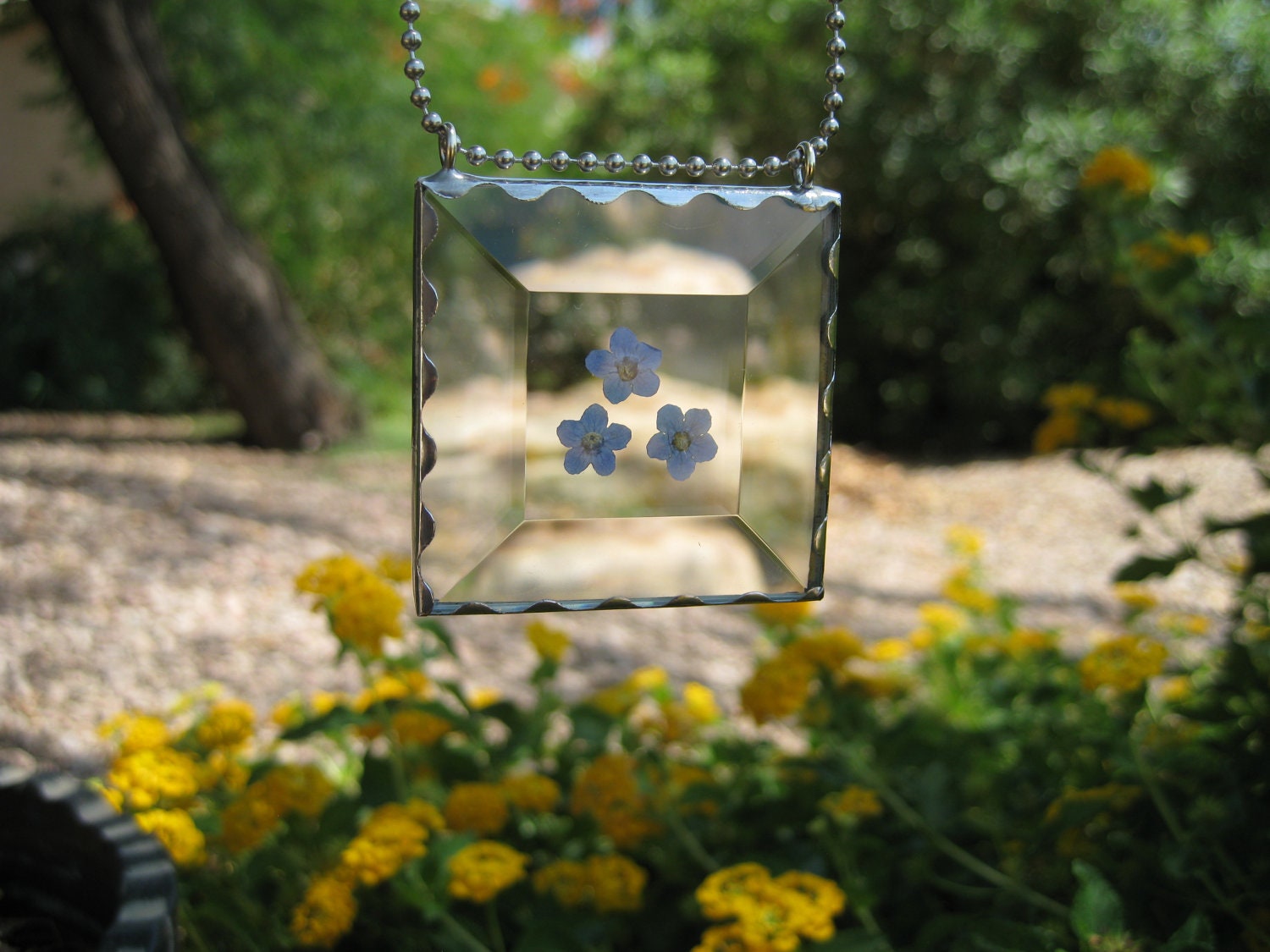 Beveled Glass Sun Catcher with a Real Forget Me Not Flower