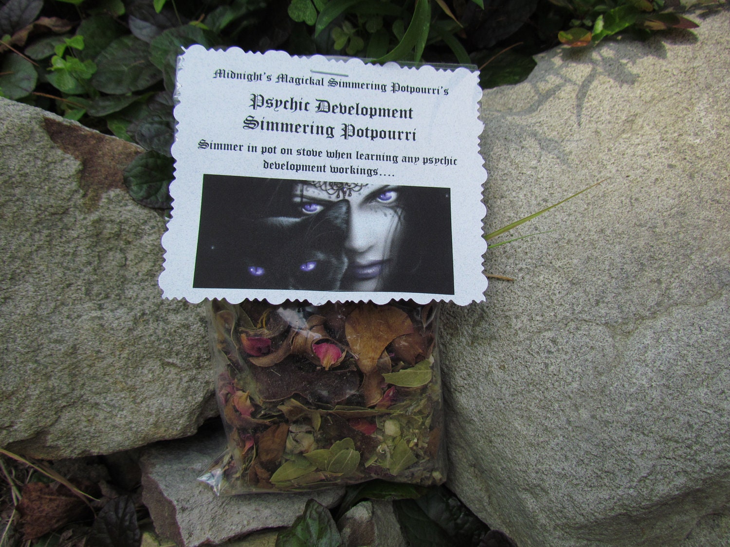 Midnight's Psychic Development Simmering Potpourri
