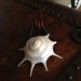 Vintage Accessory - Sea shell and tortoise shell hair pin