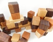 48 Organic Wooden Blocks - Building Block Set - Bannor Toys