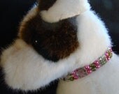 8 to 9 inch Beaded Dog Collar - Hot Pink and Lime with Floral Accents - Elegant - Pet Rescue Charity