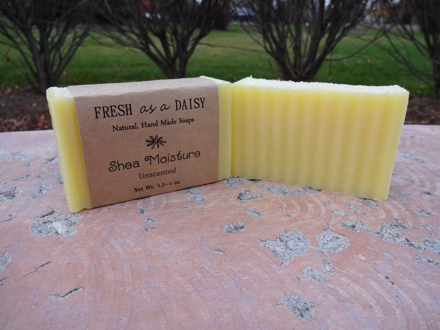 Shea Moisture, Unscented, Natural Handmade Soap, Moisturizing, Gentle, Baby Shampoo
