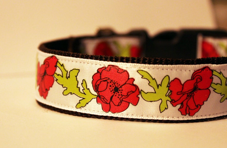 LAST ONE- Flower Dog Collar- Red Orange Poppies 1" Floral and Feminine
