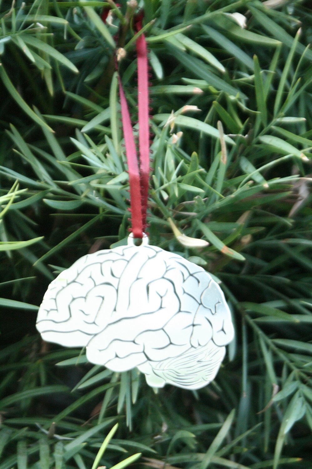 Brain Ornament