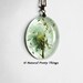 Dandelion Necklace Dandelion Seeds Green Make a Wish Mint Aqua Fluffy Seeds Real Flower Oval Summer Resin Pendant