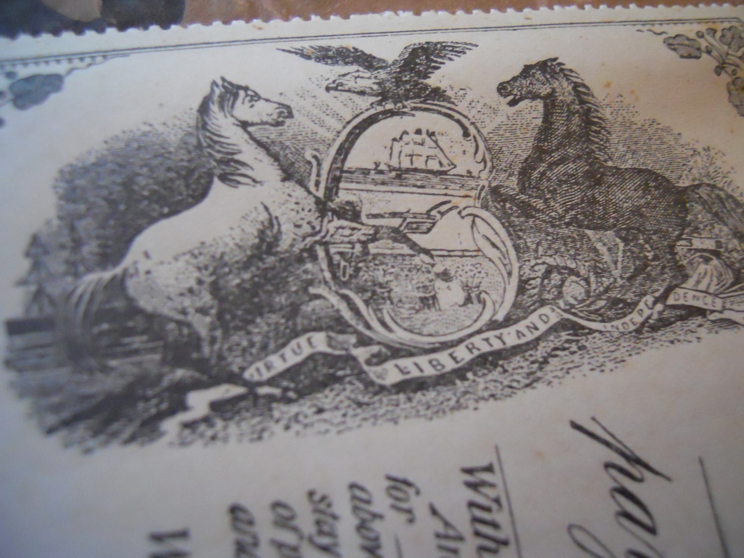 One Unused Beautiful 100 Year Old Antique Check- Field of Horses