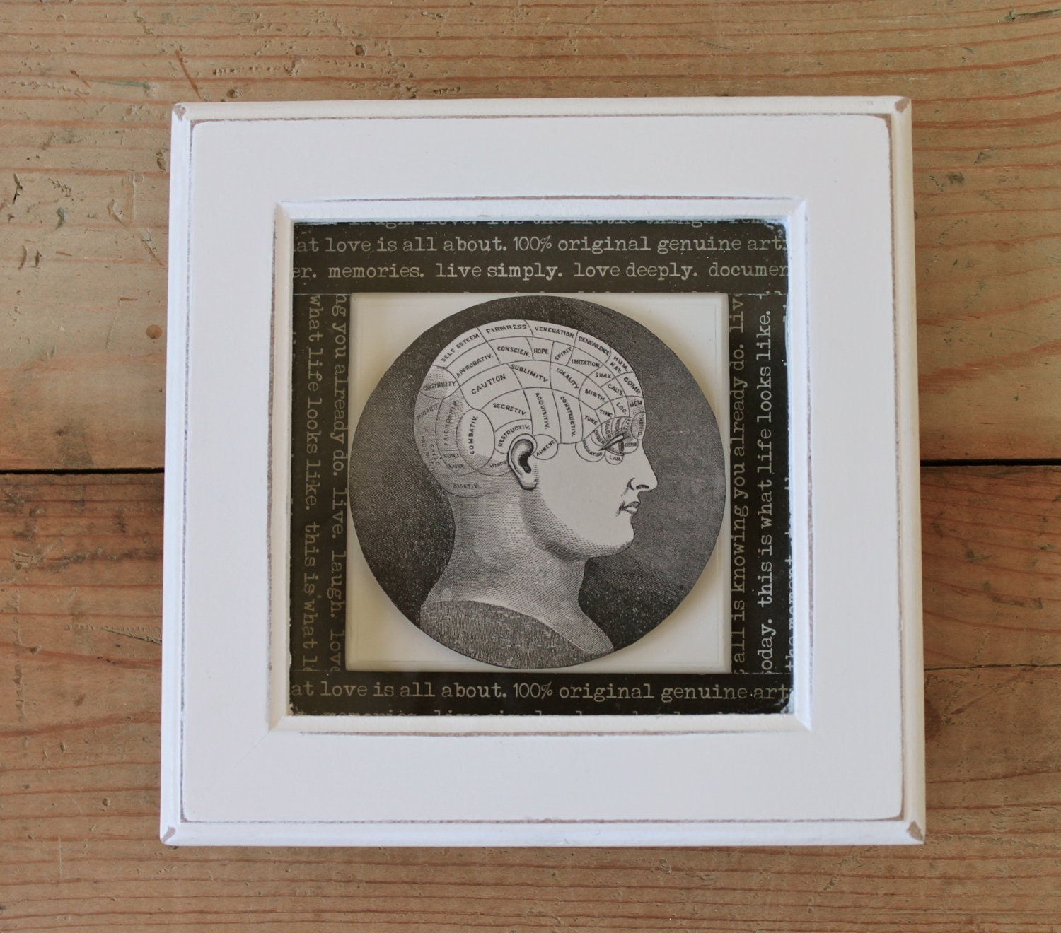Steampunk Phrenology Anatomy Cranium Head Framed Picture