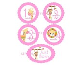 Baby Monthly Onesies Ironon Transfers H1 1-12 Months Plus Just Born Girly Pink Jungle Animals