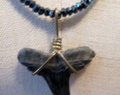 Necklace with Lucky Shark Tooth Strung on Black Spinel Beads
