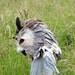 Hand felted Owl animal mask / head dress, suitable for performance, dance or theatre