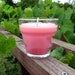 Cranberry, Handmade Soy/Parafin Candle in Glass Flower Pot Holder