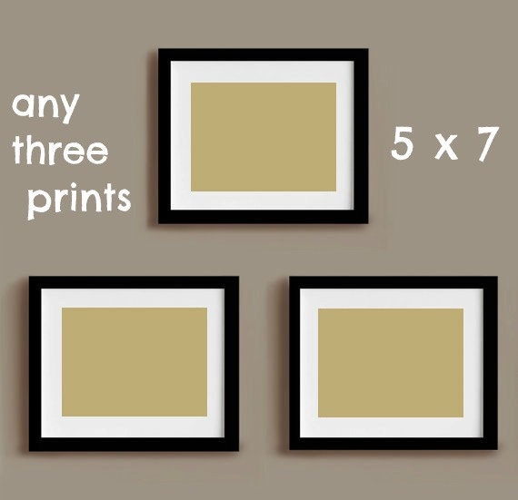 Set of three prints- 5 x 7 prints - choose any 3 in our shop