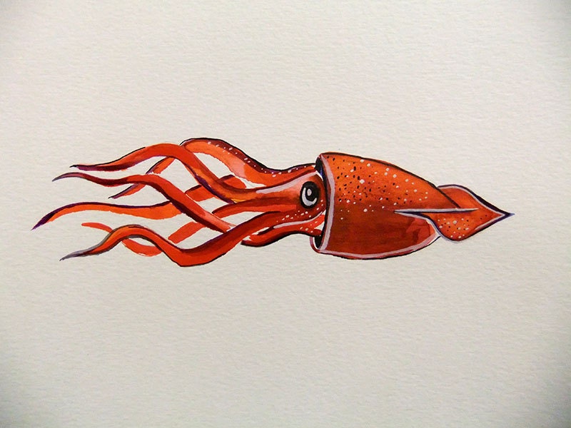 Original Watercolor Painting-Squid