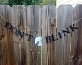 Don't Blink- Dr. Who inspired party banner