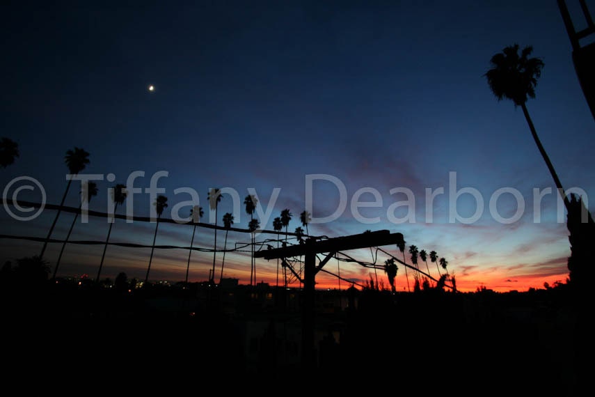 Los Feliz sunset - palm trees - moon - dusk - beautiful deep oranges and blues - Los Angeles, California - 8x10 color matte print
