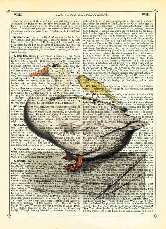 Aylesbury Duck and Canary Bird Dictionary Art Print Vintage Upcycled Book Page Collage