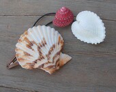 Scallop Hair Clip with Heart Cockle and Strawberry Top