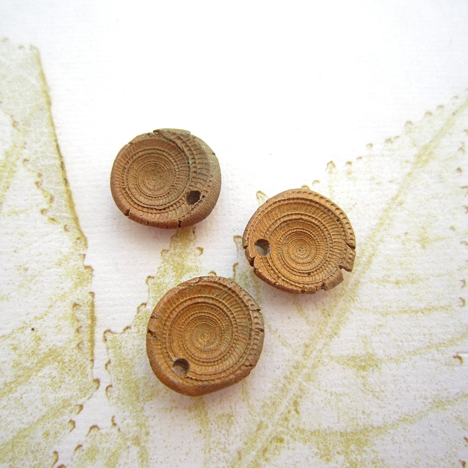 Rustic shell remnant charms, sundial shell charms, Bronze shell charms - set of 3