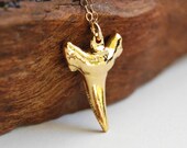 Mano Keiki necklace - gold shark tooth necklace, gold dipped shark necklace, 14kt gold filled, delicate, modern necklace, maui, hawaii
