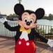 Park Mickey Mouse Hair Bow Disney Inspired