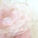 Wedding Hair Clip Pastel Pink Fairytale Organza Flower with Metalic Pink Leaves and Heart Sequin Centre by FairytaleFlower