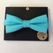Light blue bowtie for pets 