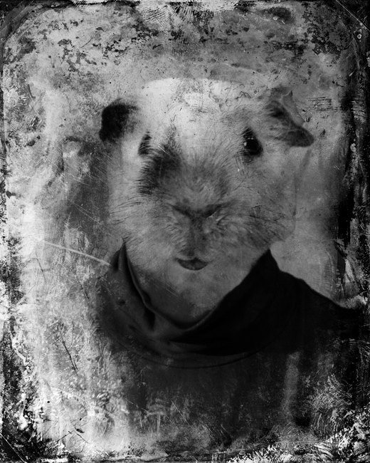 Black and White Surreal Photography, Anthropomorphic Art Print, Guinea Pig, Dark Art Photo