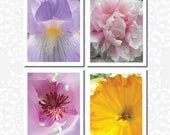 Note Cards - Flower Photos - Set of Four (4) Handmade Fine Art Photograph Cards - Blank For Any Occasion