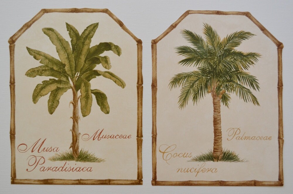 1000x662px Palm Tree Wallpaper Border WallpaperSafari