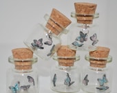 Miniature Butterfly Vivarium