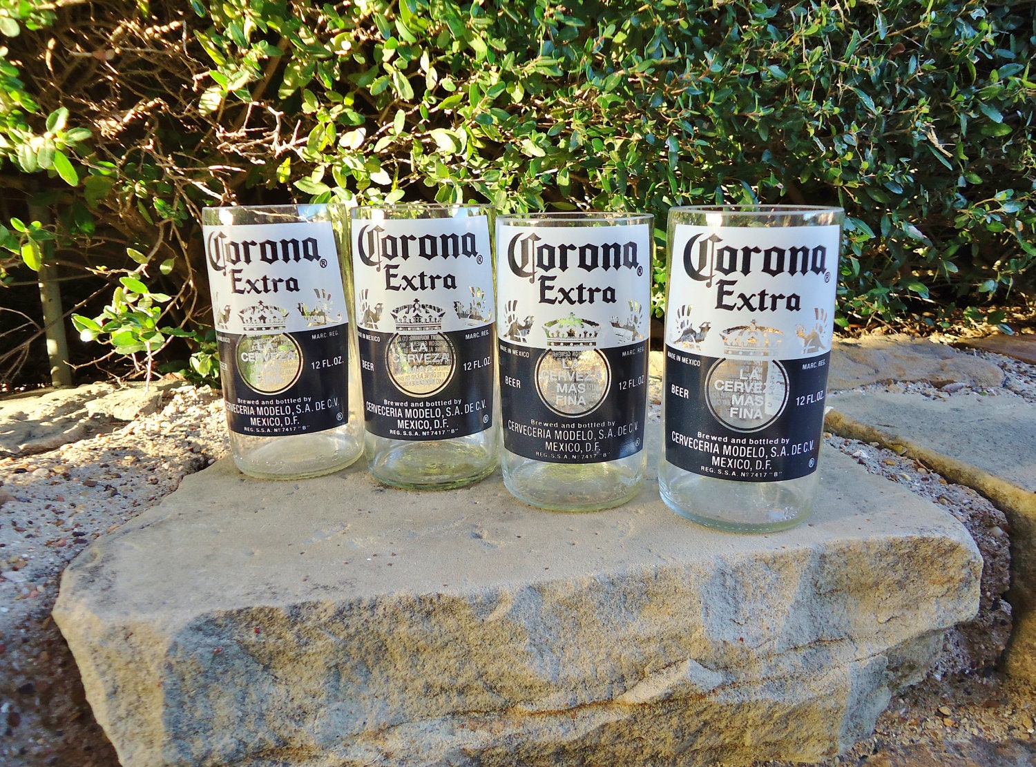 Recycled Corona Beer Bottle Glasses  Set of 4