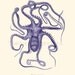 Octopus A3 sized Poster Wall Art  Octopus macropus  Vintage Natural History sea life print