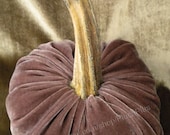 Velvet PUMPKIN - Real Stem - Single - Mauve