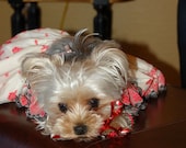 Red Lace Dress for dog , Beautiful red dress for small dogs,dog fashion