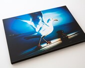 Brighton Seagull. 9" by 6" inche wooden block mounted Lomo Photograph