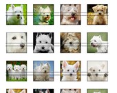 DOGS (77)(Westies) - 1,5 inch squares, graphics for scrapbooking, stickers, Digital Printable  Images File 8,5x11