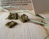Amazing Apples: Organic Rabbit Treats