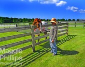 Horse and Groom