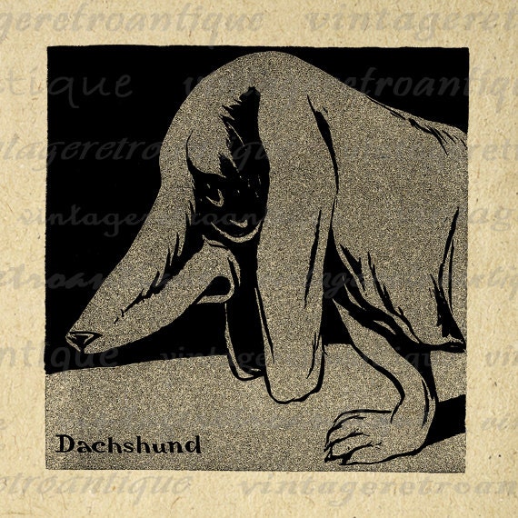 Dachshund Wiener Dog Digital Image Download Printable Graphic Vintage Clip Art for Transfers Printing etc No.1993